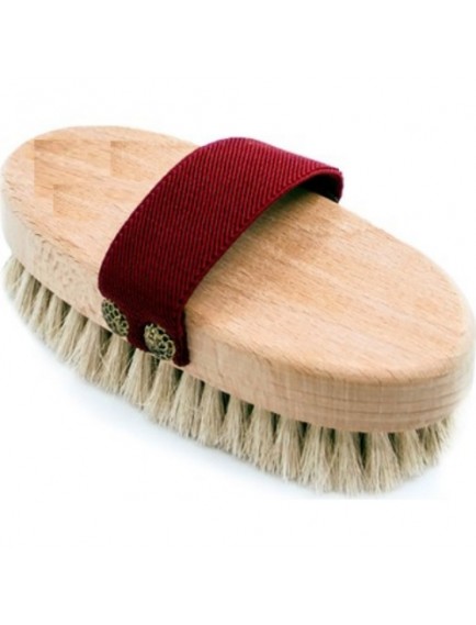 At Kılı Elbise Fırçası