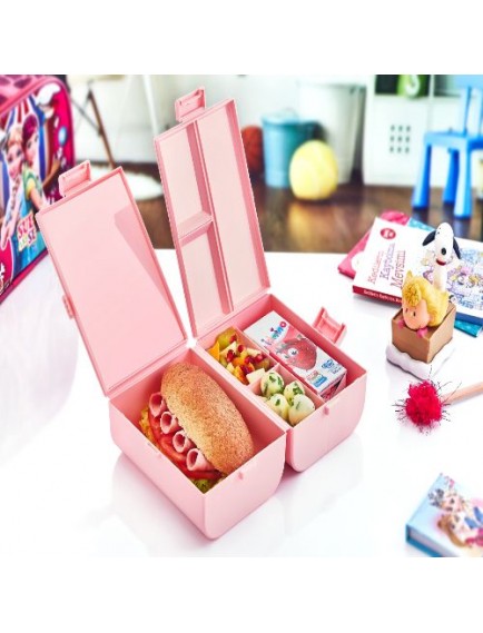 Çift Kapaklı Bölmeli Beslenme Kabı