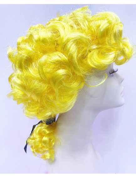 Barok Dönem Yargıç Peruğu