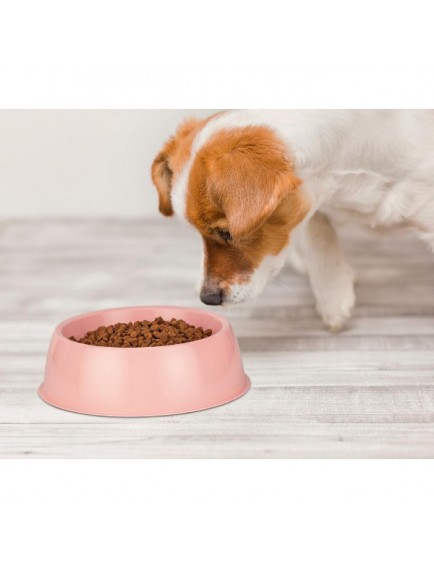 Mikopet Büyük Yuvarlak Mama Kabı