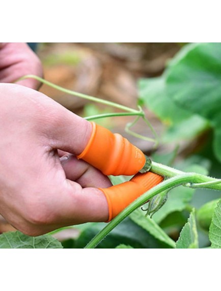 Baş Parmak Sebze Ayıklayıcı Set Kadın