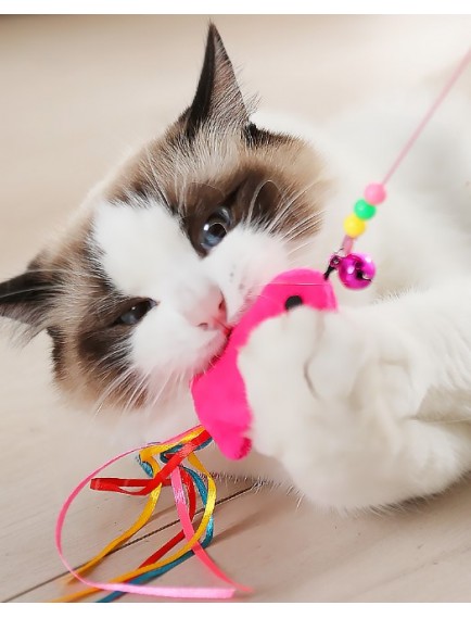 Balıklı Kedi Oyun Oltası