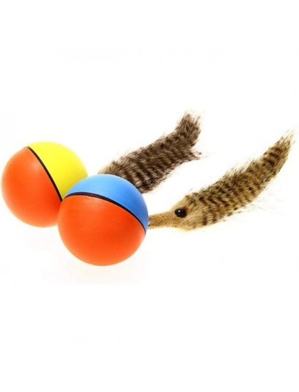 Hareketli Rakun Kedi Köpek Oyuncak