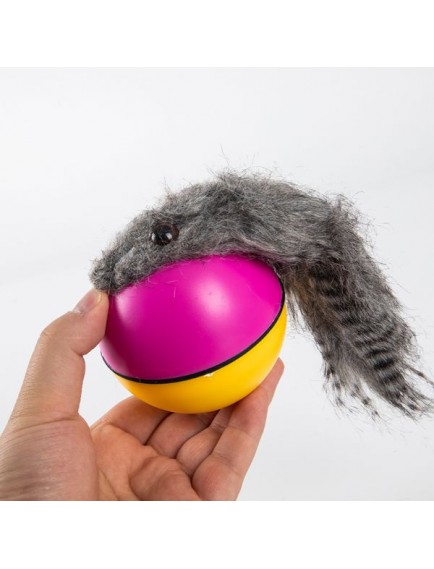 Hareketli Rakun Kedi Köpek Oyuncak