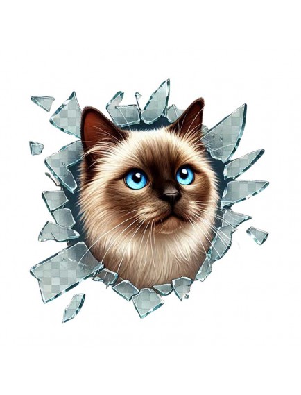 Fulcar Siamesse Araç Stickerı