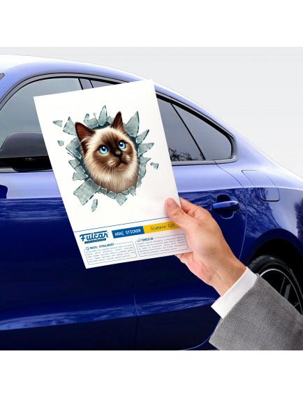 Fulcar Siamesse Araç Stickerı