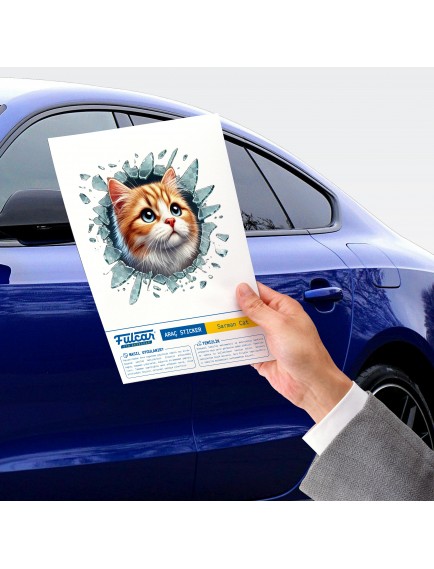 Fulcar Sarman Araç Stickerı