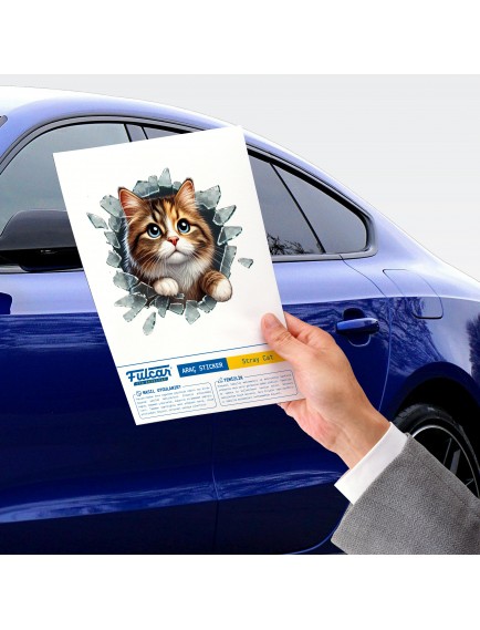 Fulcar Stray Araç Stickerı