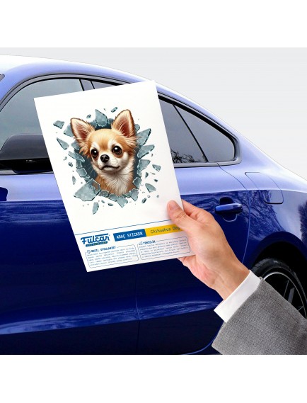 Fulcar Chiuahua Araç Stickerı
