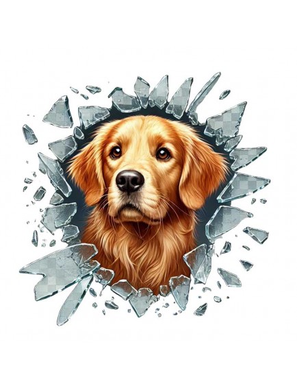 Fulcar Golden Araç Stickerı