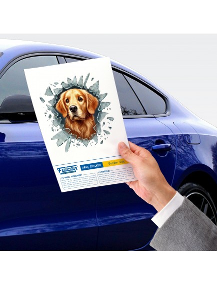 Fulcar Golden Araç Stickerı