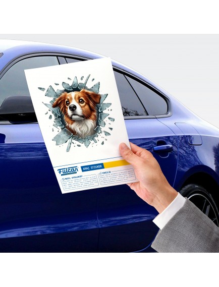 Fulcar Australian Shepherd Araç Stickerı