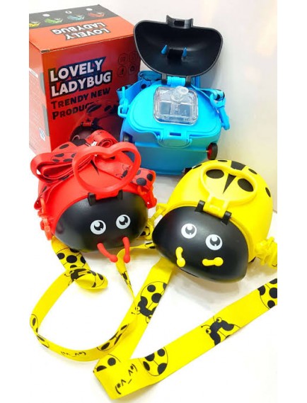 Uğur Böceği Su Matarası