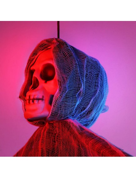 Ürpertici Kuru Kafa Hayalet Saçaklı Dekor