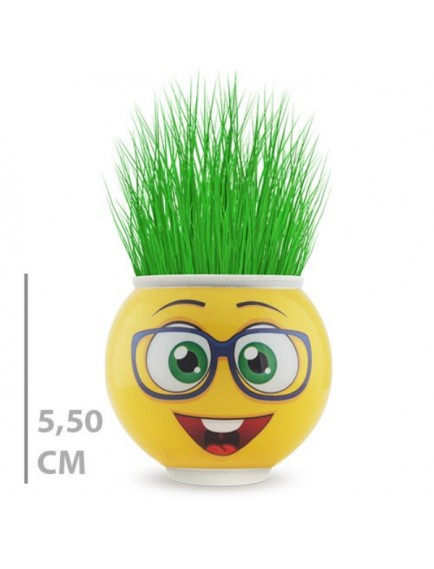 Çim Adam Saksı Emoji Figürlü 1 Adet