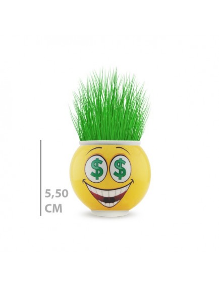 Çim Adam Saksı Emoji Figürlü 1 Adet