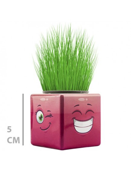 Çim Adam Mini Küp Emoji Figürlü 1 Adet