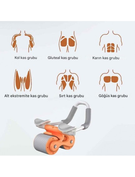 AB Roller Karın Kası Egzersiz Tekerleği