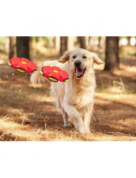 Işıklı Zıplayan Frizbi Evcil Hayvan Topu
