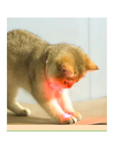 Otomatik Lazer Oyun Tasması