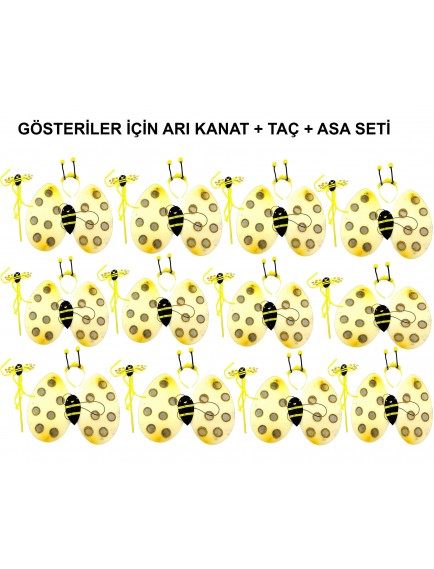 Okul Gösterileri için Arı Seti 12 Adet - Taç, Kanat, Asa
