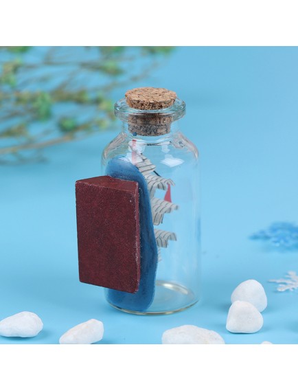 Orta Boy Şişe İçerisinde Gemi Maketi