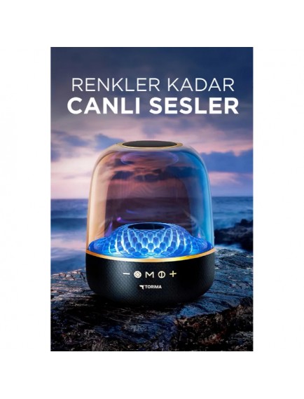 D33 Siyah Taşınabilir Kablosuz Bluetooth Hoparlör