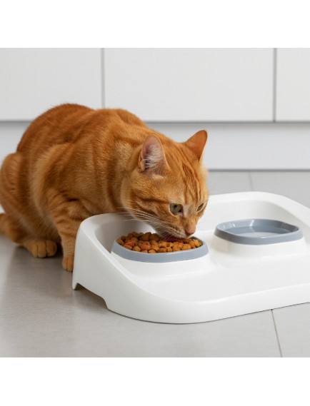 Mikopet Gri 2'si 1 Arada Mama Ve Su Kabı