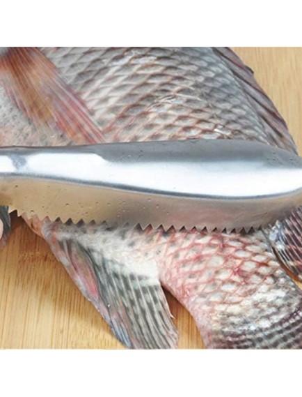 Pratik Balık Pulu Kazıyıcı Aparat