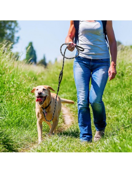 Evcil Hayvan Fitil Gezdirme Tasması 8 mm x 120 cm