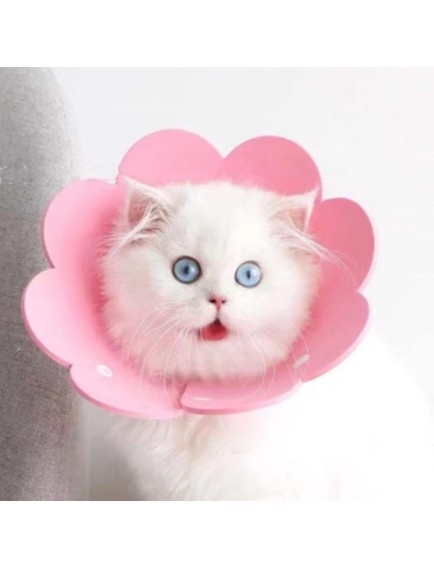 Evcil Hayvan L Boy Keçe Elizabeth Yakalığı