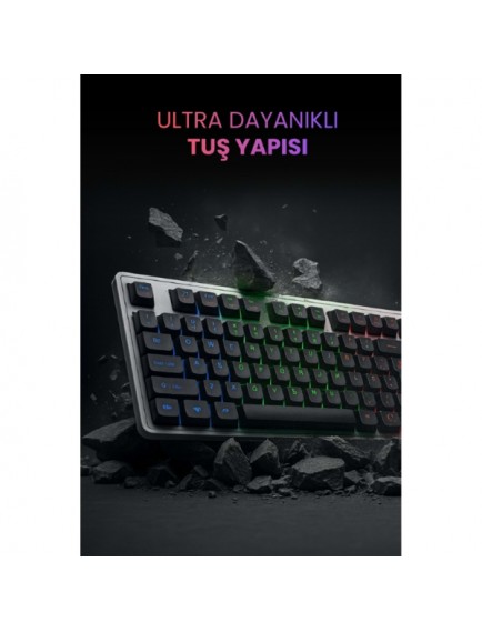 Kablolu Işıklı Gaming Standart Türkçe Q Klavye Ve Mouse Seti