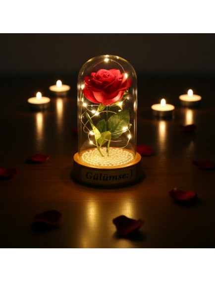 İncili Ledli Gül Fanus