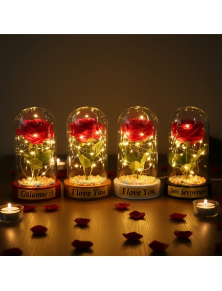 Renkli Toplu Ledli Gül Fanus