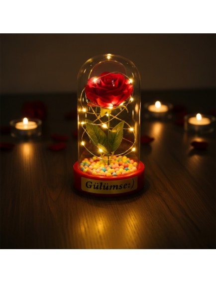 Renkli Toplu Ledli Gül Fanus