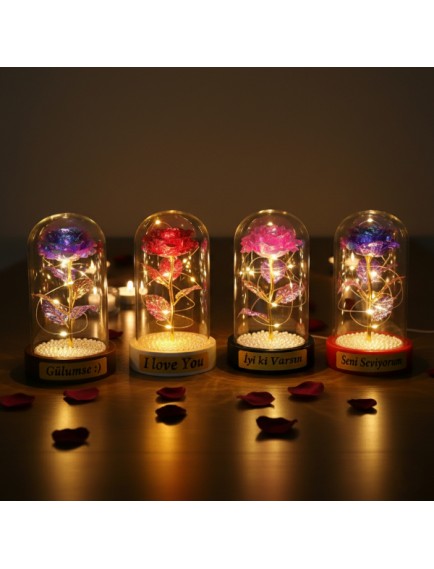 İncili Sonsuzluk Gülü Ledli Fanus