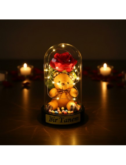 Ayıcıklı Ledli Gül Fanus