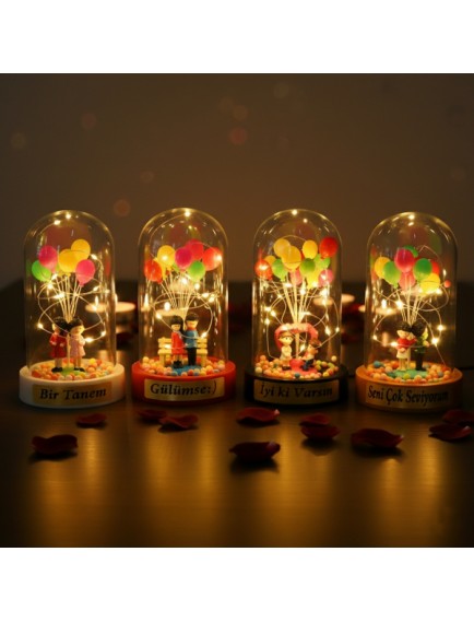 Biblolu Balonlu Ledli Fanus