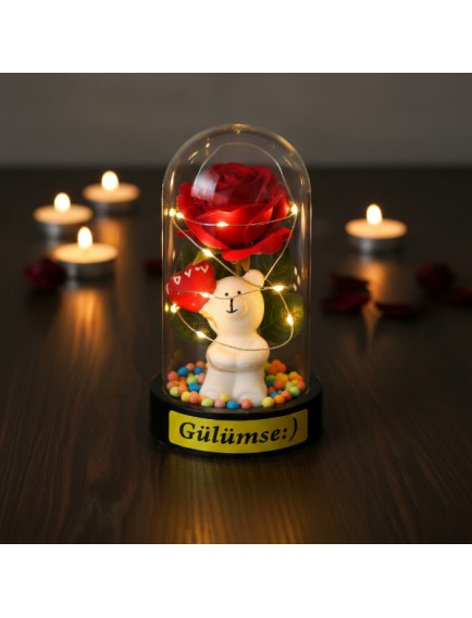 Balonlu Ayıcık Ledli Gül Fanus