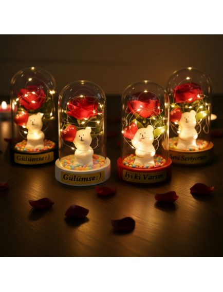 Balonlu Ayıcık Ledli Gül Fanus