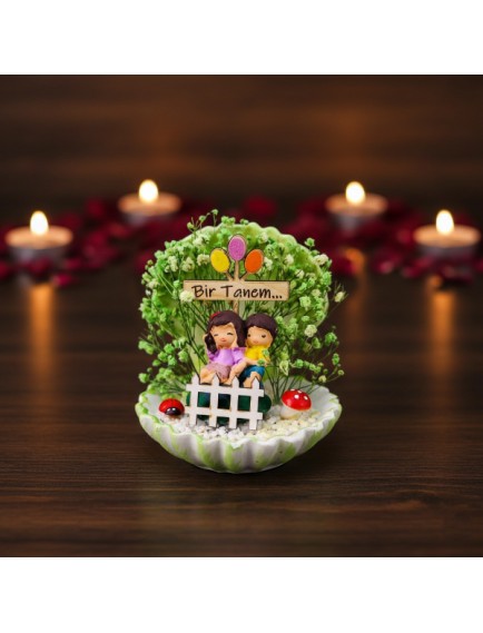 Mini Midye Teraryum - Özel Gün Hediyesi