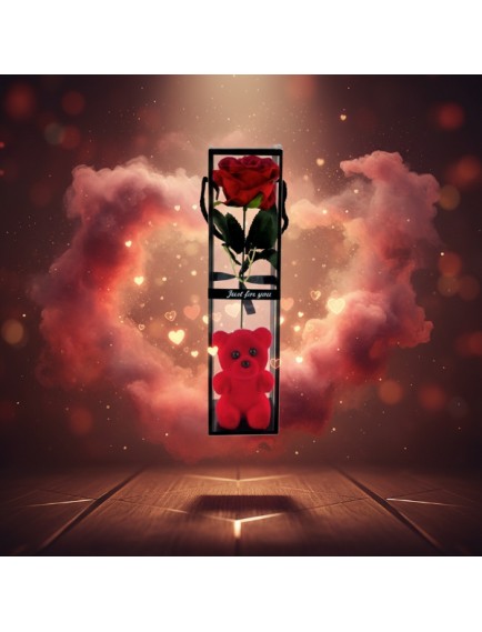 Ayıcıklı Şeffaf Kutulu Tekli Gül