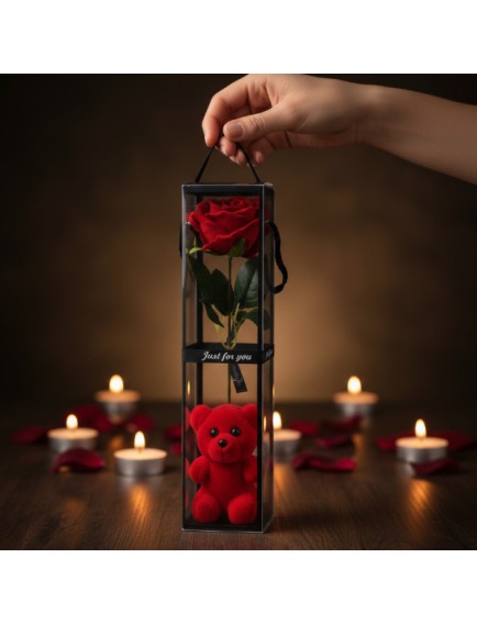 Ayıcıklı Şeffaf Kutulu Tekli Gül