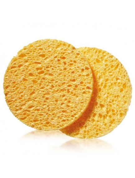 2'li Cilt Temizleme Süngeri Seti